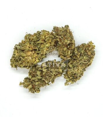 Susz Konopny "Gorilla Glue" 4,7% CBD Weed4u