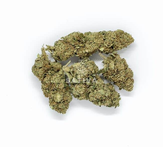 Susz Konopny "Bubble Gum" 5,4% CBD Weed4u