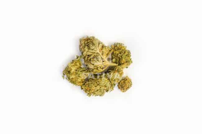 Susz Konopny "Harlequin" 4,7% CBD Weed4u