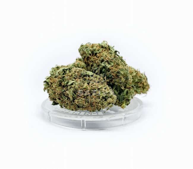 Susz Konopny “Pineapple Express” 5,3% CBD Weed4u