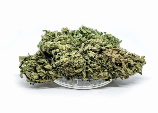 Susz Konopny ”CBGreen” 4,0% CBG Weed4u