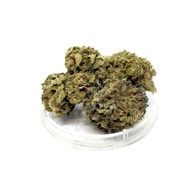Susz Konopny “Peanut Haze” 4,1% CBD Weed4u