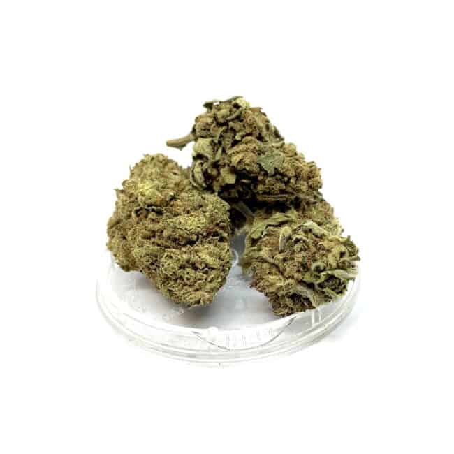 Susz Konopny “Peanut Haze” 4,1% CBD Weed4u