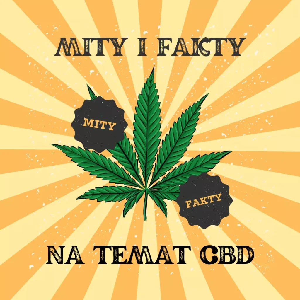 Mit czy prawda? Fakty i mity na temat CBD