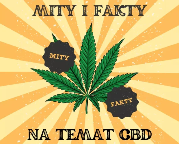 Mit czy prawda? Fakty i mity na temat CBD