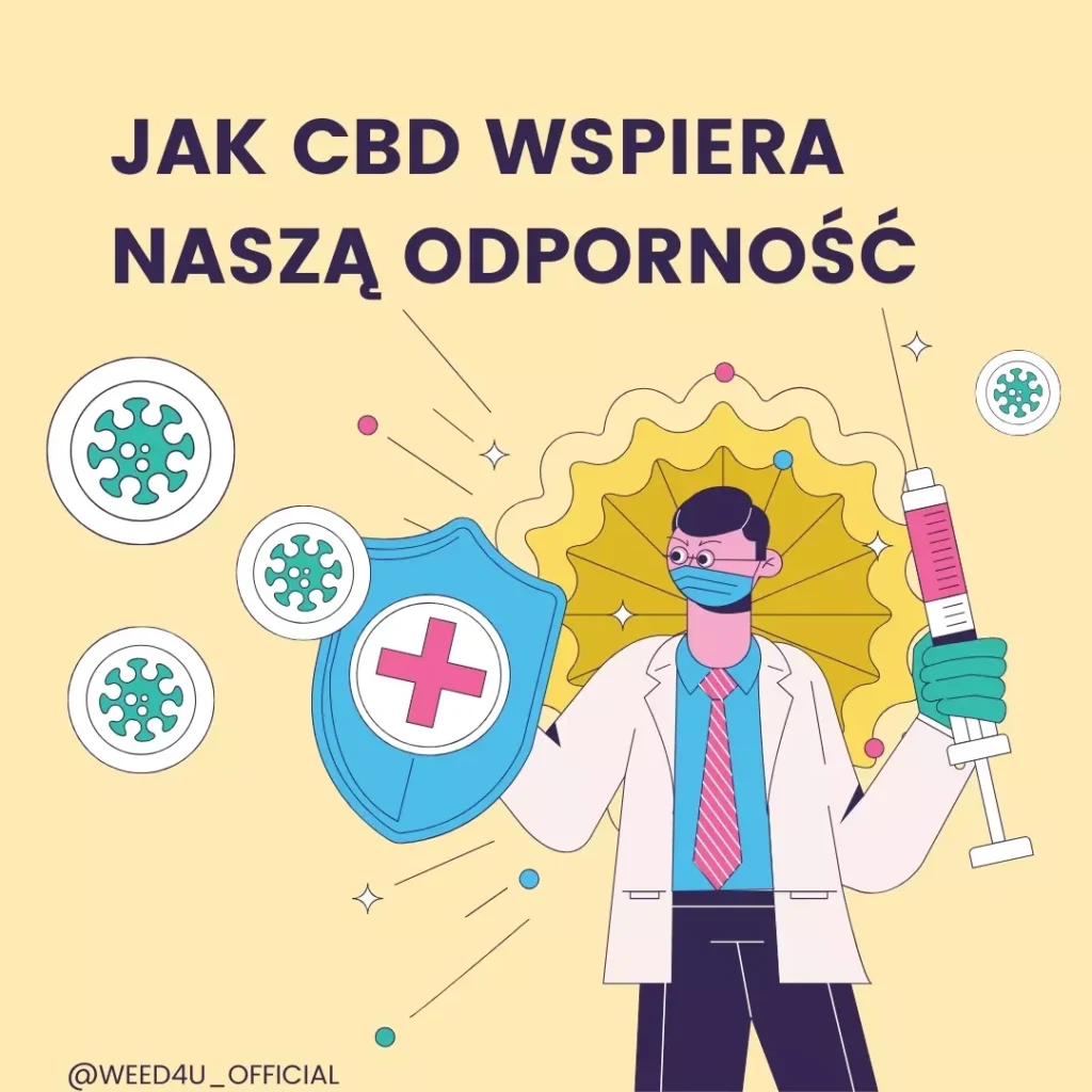 Jak CBD Wspiera Odporność: Naturalne Wzmocnienie Twojego Organizmu